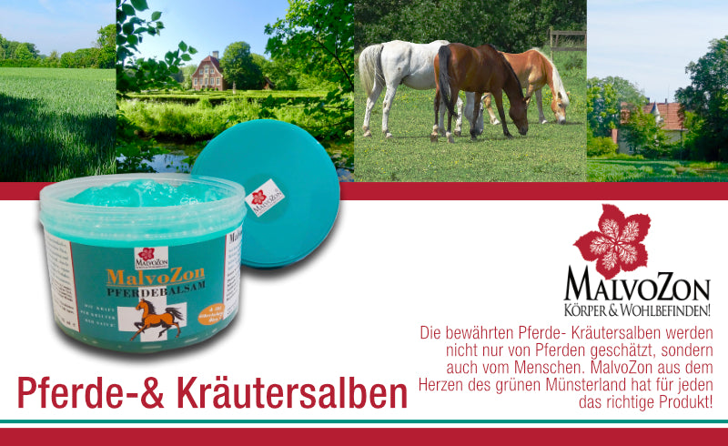 MalvoZon Pferde- & Kräutersalben