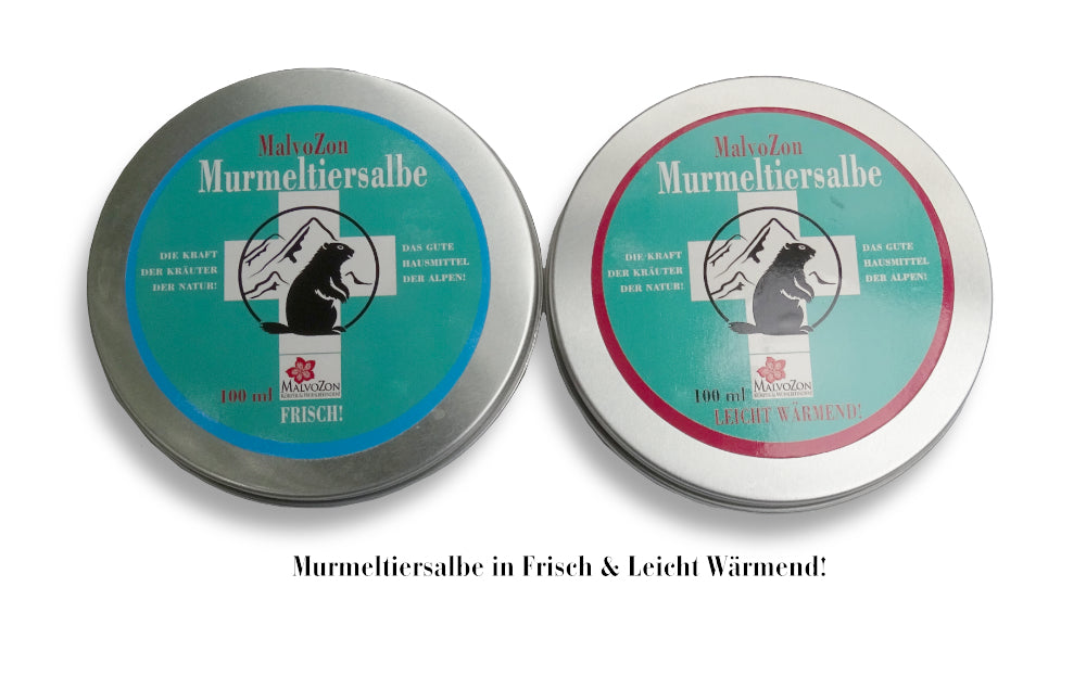 MalvoZon – Murmeltiersalbe – Leicht Wärmend ! – 100ml