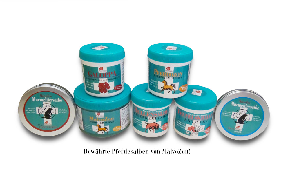 MalvoZon – Bullensalbe – Gelenkemulsion mit Teufelskralle – 230 ml