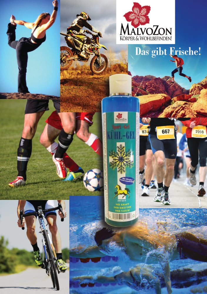 MalvoZon – Kühl-Gel / Sport-Gel – mit erfrischendem Tiroler Fichtennadel-Öl – 250ml