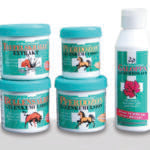 MalvoZon – Bullensalbe – Gelenkemulsion mit Teufelskralle – 230 ml